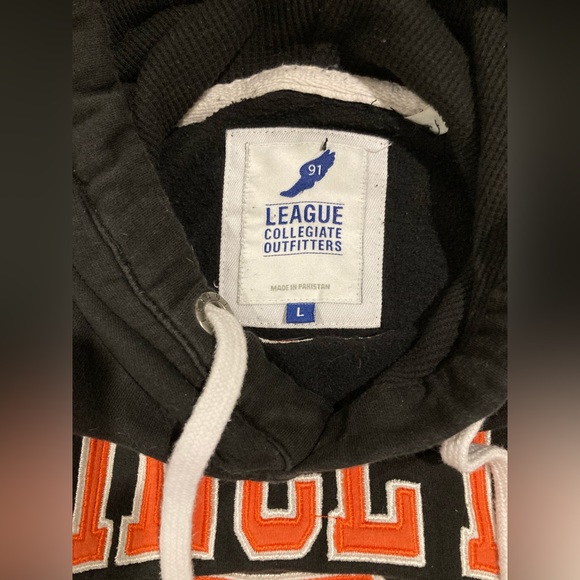 Embroidered Heritage Seal Princeton Hoodie - Picture 4 of 4